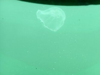 IMG_20250703_112518.jpg