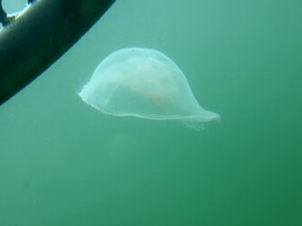 IMG_20250703_111444.jpg
