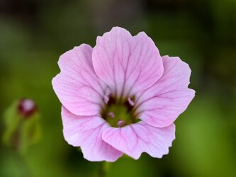 IMG_20250715_192011.jpg