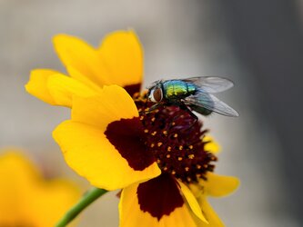 IMG_20250715_191727.jpg
