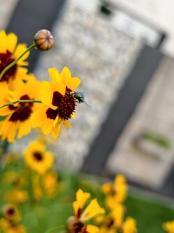 IMG_20250715_191648.jpg