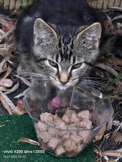 IMG_20250715_194355.jpg