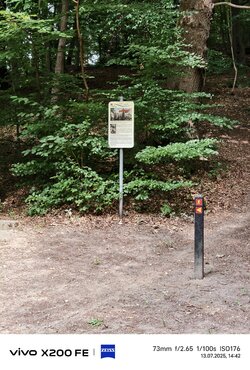IMG_20250713_144231.jpg