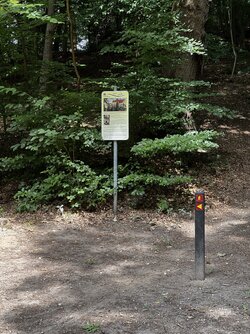 IMG_0290.JPG