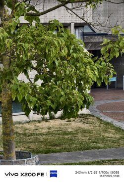 IMG_20250716_123050.jpg