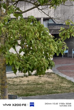 IMG_20250716_123056.jpg