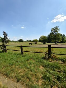 IMG_20250701_145113.jpg