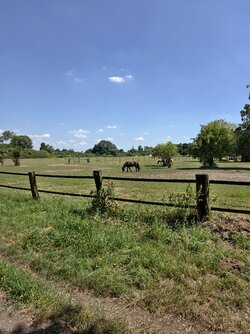IMG_20250701_145051.jpg