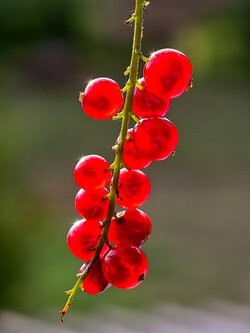 IMG_20250715_191348.jpg