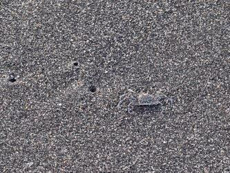 IMG_20250715_182616.jpg