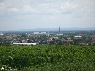 IMG_20250716_125115.jpg