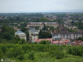 IMG_20250716_125129.jpg