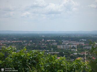 IMG_20250716_125718.jpg