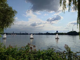 20250716_171932630.JPG