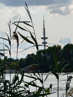 20250716_172411493.JPG