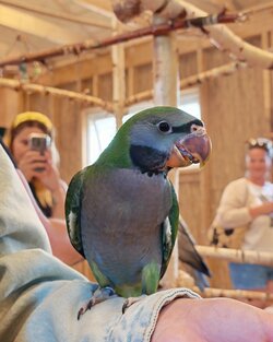 IMG_20250716_124401.jpg