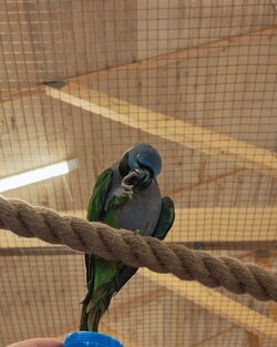 IMG_20250716_123705.jpg