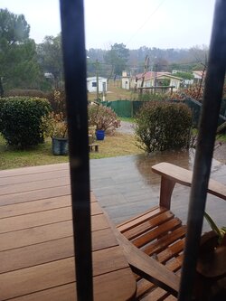 IMG_20250716_142055.jpg