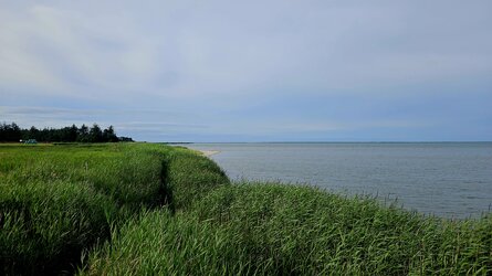 20250716_184641.jpg