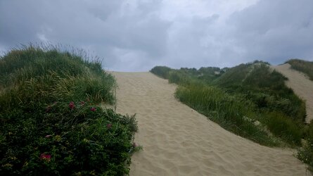 20250715_125425.jpg