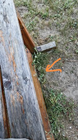 IMG_20250716_202139.jpg