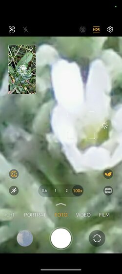 Screenshot_20250716_202020_com_hihonor_camera_CameraActivity.jpg
