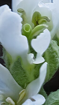 IMG_20250716_203357_ENHANCE002_COVER.jpg