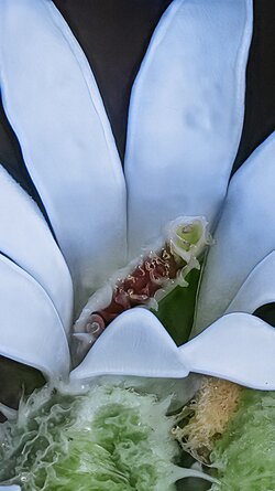 IMG_20250716_203525_ENHANCE002_COVER.jpg