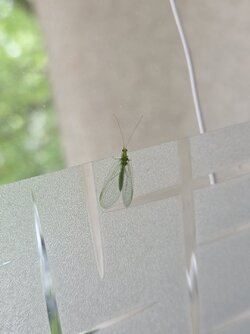20250711_133537.jpg