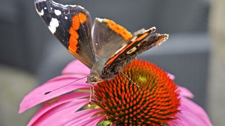 IMG_20250714_133058.jpg