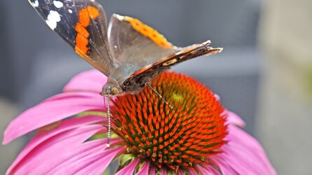 IMG_20250714_133053.jpg