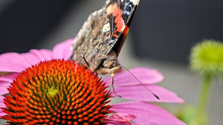 IMG_20250714_132955.jpg