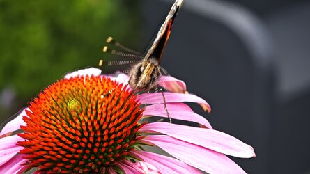 IMG_20250714_132913.jpg
