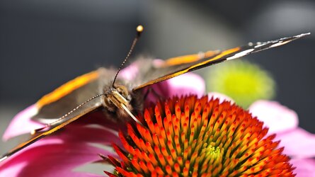 IMG_20250714_132740.jpg