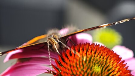 IMG_20250714_132739.jpg