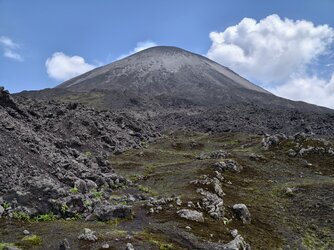 IMG_20250716_134505.jpg