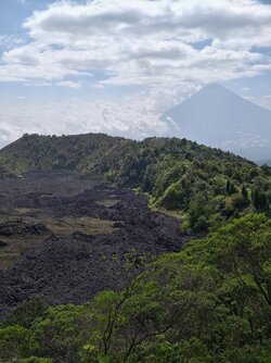 IMG_20250716_144740.jpg