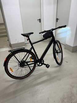 IMG_0517.jpeg