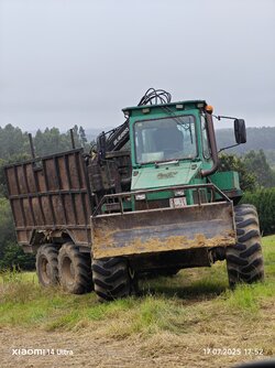 IMG_20250717_175225.jpg