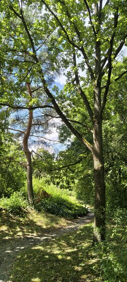IMG_20250717_132550508_HDR.jpg