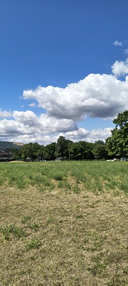 IMG_20250717_122542840_HDR.jpg