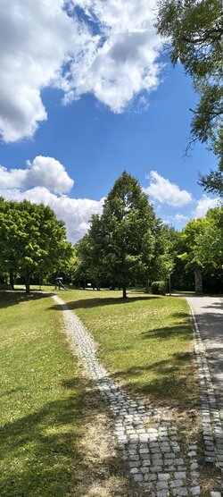 IMG_20250717_133800942_HDR.jpg