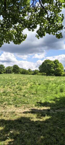 IMG_20250717_132214651_HDR.jpg