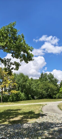 IMG_20250717_131727752_HDR.jpg