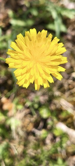 IMG_20250717_130029742_HDR.jpg