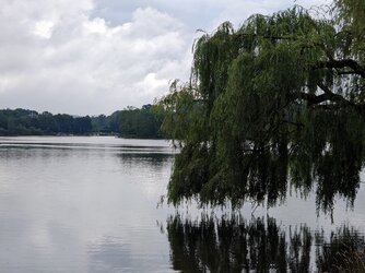 IMG_20250707_094243.jpg
