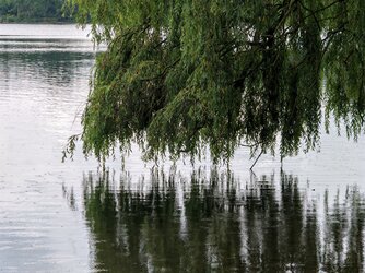 IMG_20250707_094256.jpg