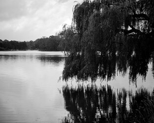 IMG_20250707_094326.jpg