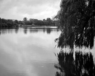 IMG_20250707_094433.jpg