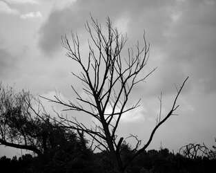 IMG_20250707_094546.jpg